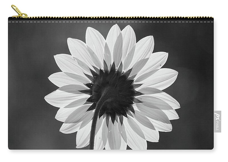 Flower Zip Pouch featuring the photograph Black-eyed Susan - Black And White by Stephen Holst