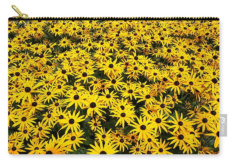 Black Eyed Susans Zip Pouch featuring the photograph Black eyes by Imagery-at- Work