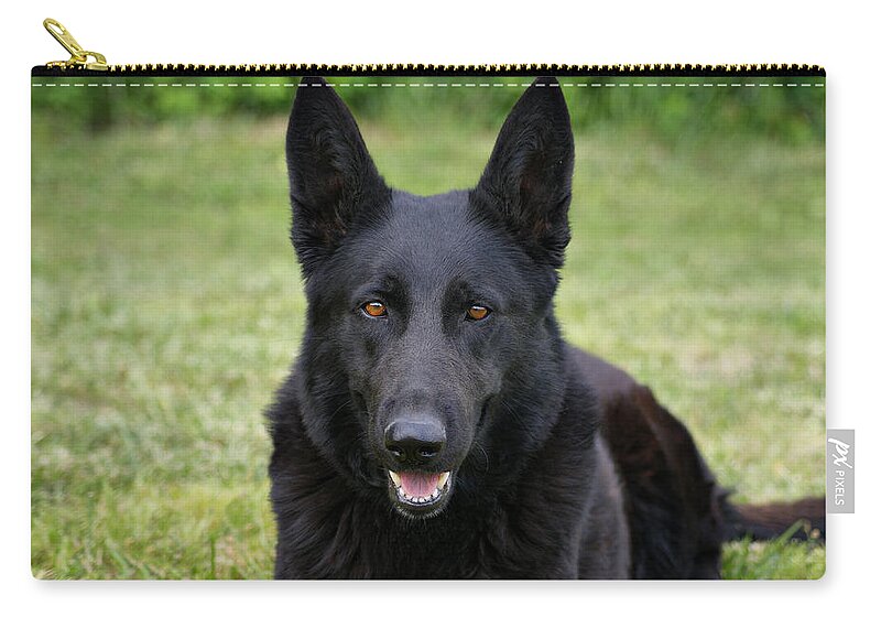 German Shepherd Dog Zip Pouch featuring the photograph Black German Shepherd Dog II by Sandy Keeton
