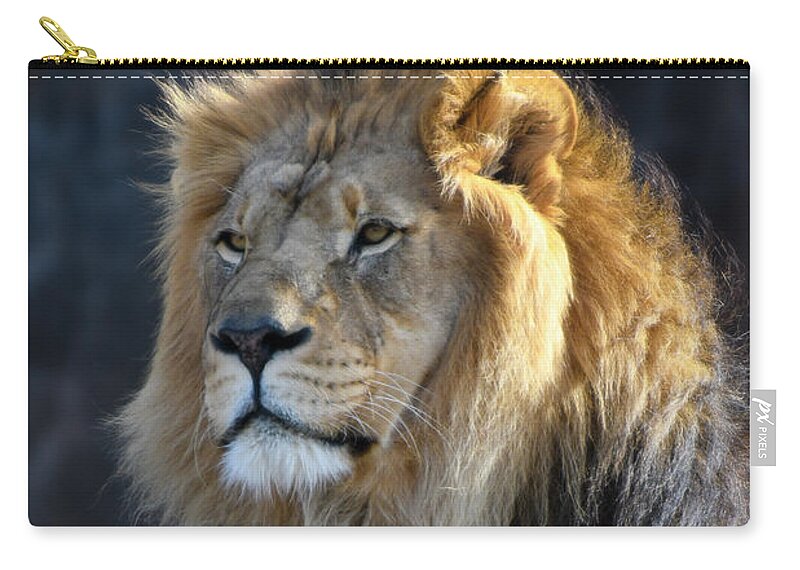 Africa Zip Pouch featuring the photograph Black Maned Lion 440 by David Drew