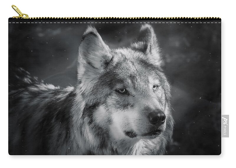 Wolf Zip Pouch featuring the photograph Black N White Wolf by Elaine Malott