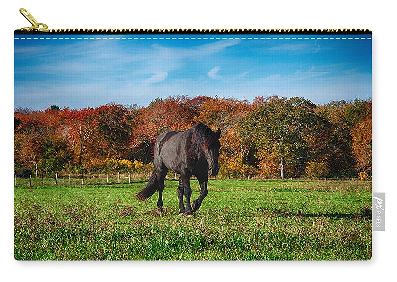 #jefffolger Zip Pouch featuring the photograph Black stalion in the fall colors by Jeff Folger