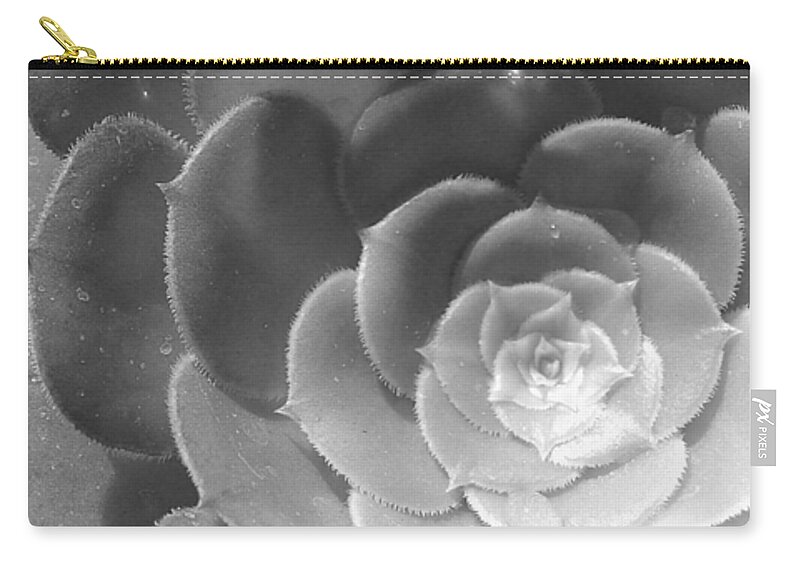 Flower Carry-all Pouch featuring the photograph Blackand White Cabbage Cactus by Amy Fose