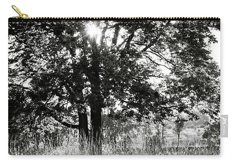 Tree Zip Pouch featuring the photograph Blazing Tree by Andy Smetzer