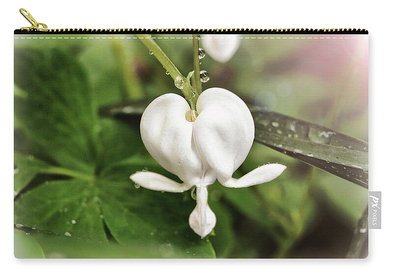 White Zip Pouch featuring the photograph Bleeding Heart by Amber Flowers