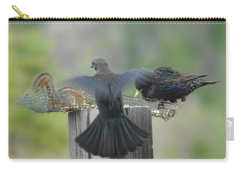 Bird Zip Pouch featuring the photograph Bless This Meal by Donna Blackhall