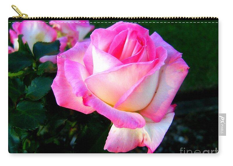 Pink Zip Pouch featuring the photograph Blessings 1 by Leanne Seymour