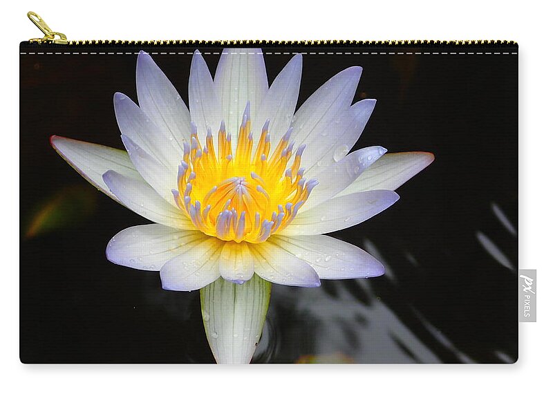 Magnificence Zip Pouch featuring the photograph Bliss by Lora Louise