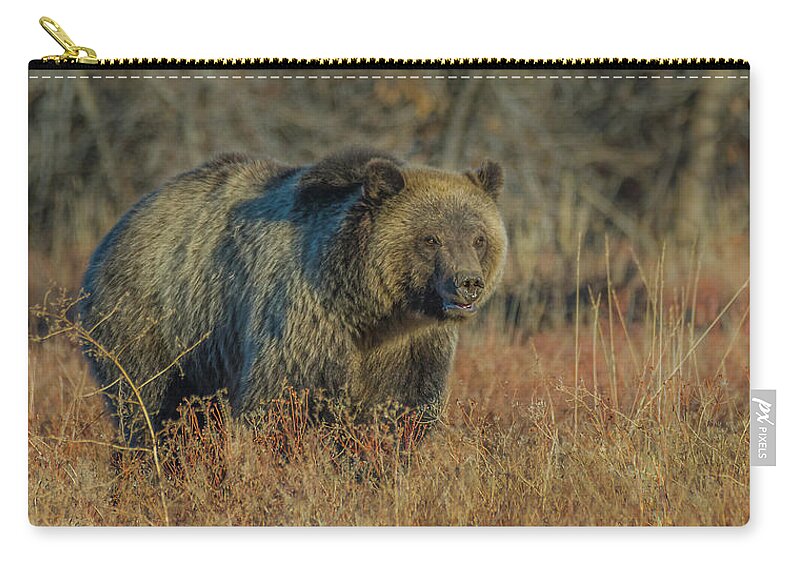 Blondie Zip Pouch featuring the photograph Blondie Of Grand Teton National Park by Yeates Photography