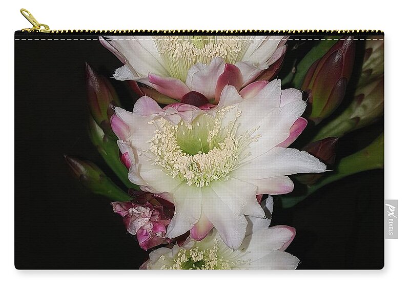 Night Carry-all Pouch featuring the digital art Bloom night by Yenni Harrison