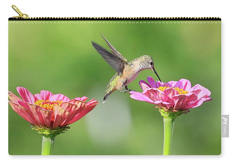 Anna's Hummingbird Zip Pouch featuring the photograph Blooming Bounty by Steve McKinzie