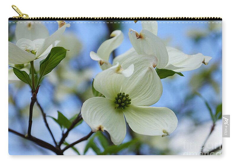 Spring Zip Pouch featuring the photograph Blooming Dogwood by Jennifer White