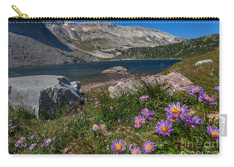 Landscape Zip Pouch featuring the photograph Blooming in Snowy Range by Steven Reed