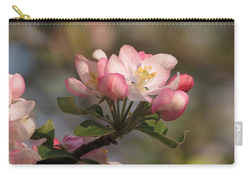  Zip Pouch featuring the photograph Blooming by Kimberly Mackowski