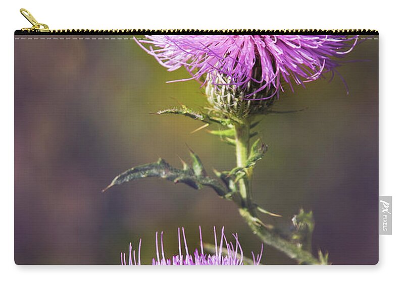 Nature Zip Pouch featuring the photograph Blooming Thistle by Sharon McConnell