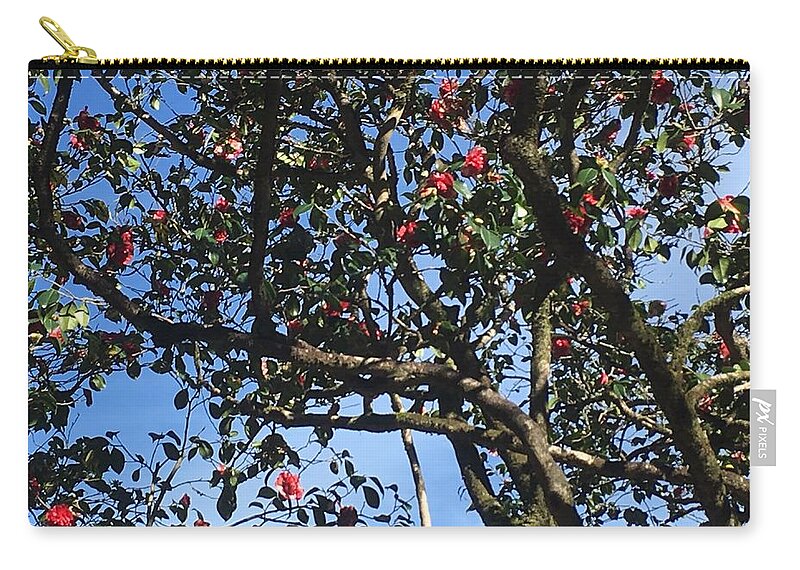 Blooming Flowers Zip Pouch featuring the photograph Blooming Trees by Susan Grunin