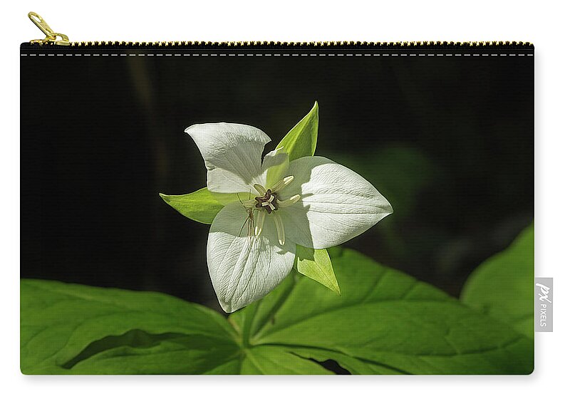 Sweet White Trillium Zip Pouch featuring the photograph Blooming Trillium by Mike Eingle