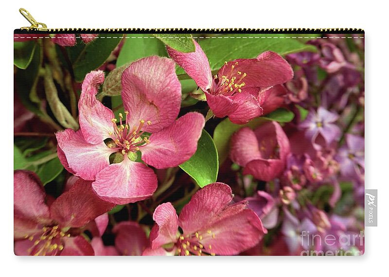 Cherry Blossom Zip Pouch featuring the photograph Blosom by Roxie Crouch