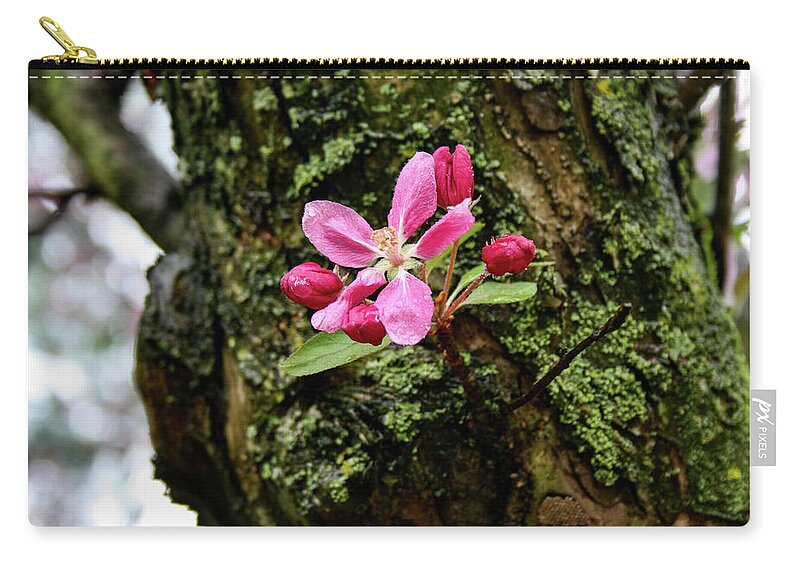 Flower Zip Pouch featuring the photograph Blossom after rain by Matt Sexton