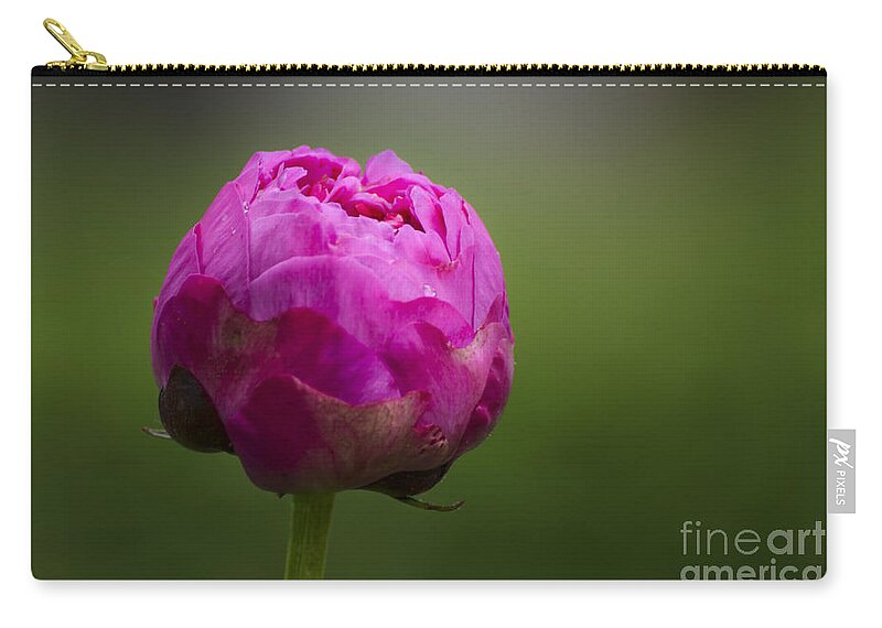 Bud Zip Pouch featuring the photograph Blossom by Andrea Silies