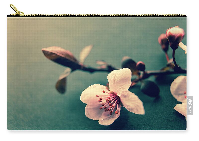 Plum Blossom Zip Pouch featuring the photograph Blossom by Caitlyn Grasso