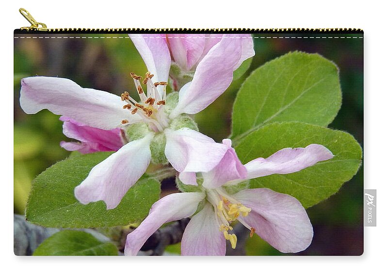 Pink Zip Pouch featuring the photograph Blossom Duet by Carla Parris