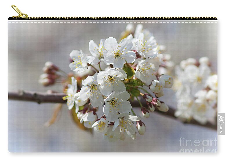 Blossoming Zip Pouch featuring the photograph Blossoming cherry by Michal Boubin