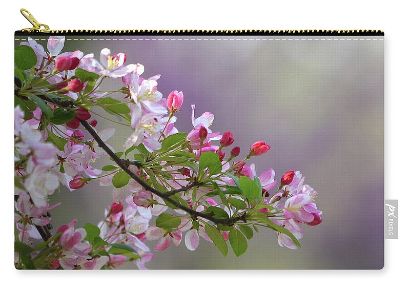 Flower Carry-all Pouch featuring the photograph Blossoms and Bokeh by Ann Bridges