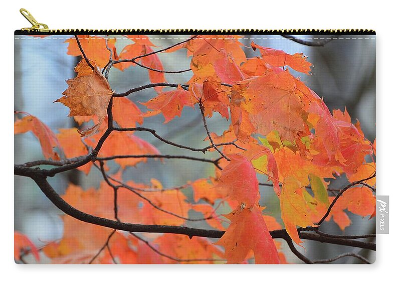 Abstract Zip Pouch featuring the digital art Blowing In The Wind by Lyle Crump