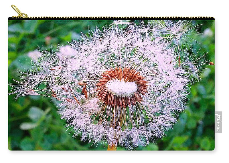 Flower Zip Pouch featuring the photograph Blown Dandelion by Jasna Dragun