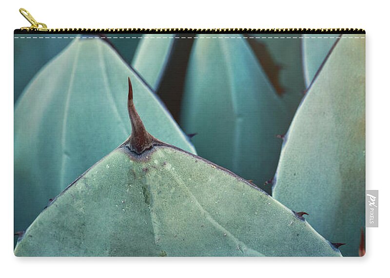 Agave Zip Pouch featuring the photograph Blue Agave by Saija Lehtonen