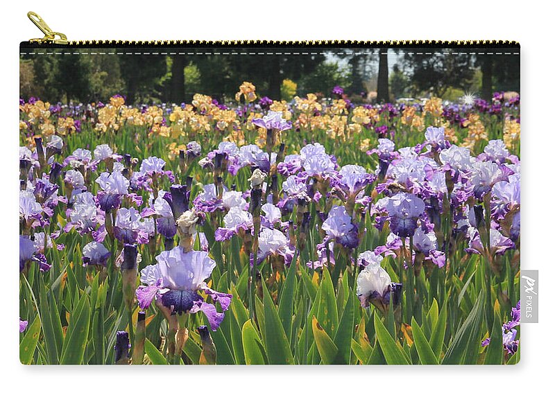 Flower Zip Pouch featuring the photograph Blue and Yellow Irises by KATIE Vigil