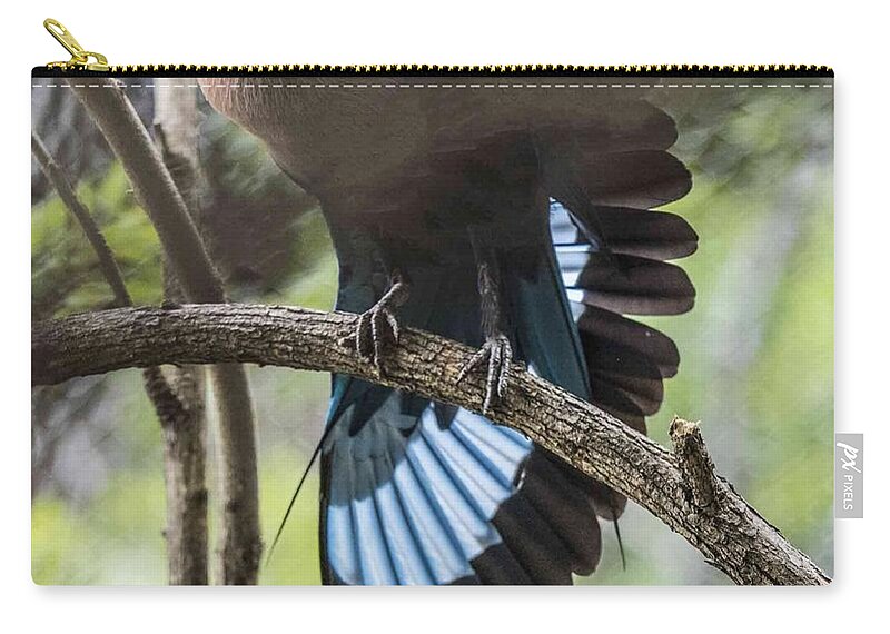 Fauna Zip Pouch featuring the photograph Blue Bellied Roller Stretching His Flight Feathers by William Bitman