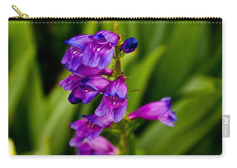  Zip Pouch featuring the photograph Blue Bells Wild Flower by James Gay