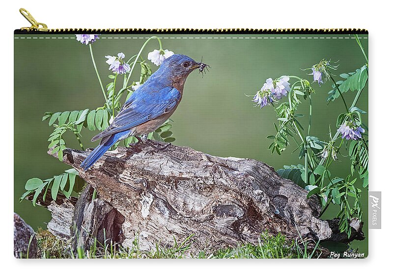 Bluebird Zip Pouch featuring the photograph Bluebird Bearing Bug by Peg Runyan