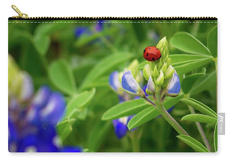 Flowers & Plants Zip Pouch featuring the photograph Texas Blue Bonnet and Ladybug by Brad Thornton