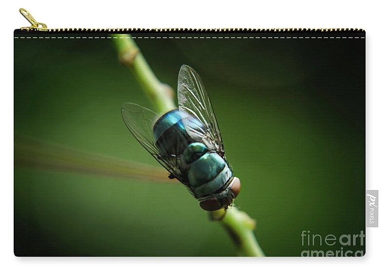 Michelle Meenawong Zip Pouch featuring the photograph Blue Bottle Fly by Michelle Meenawong