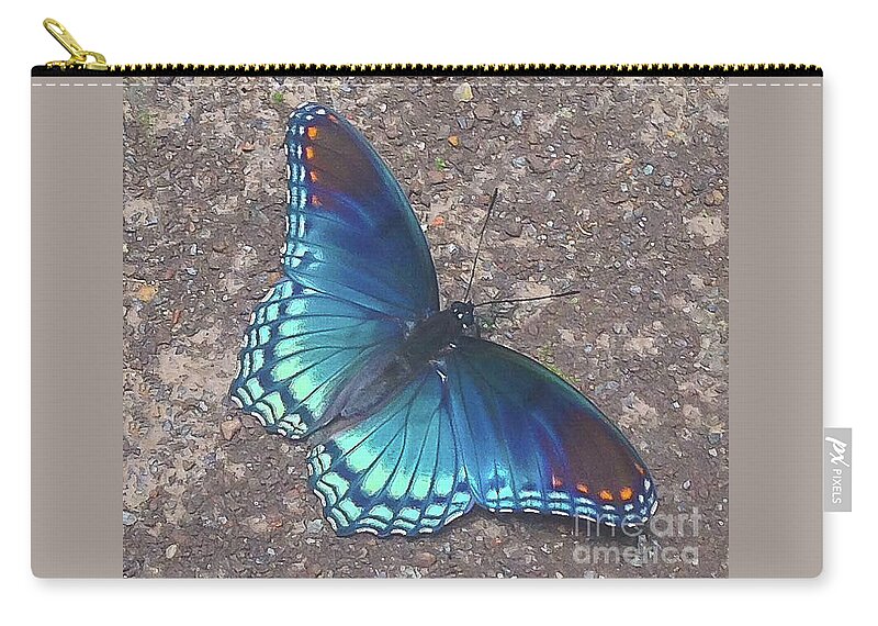 Nature Zip Pouch featuring the photograph Blue Butterfly by Barry Bohn