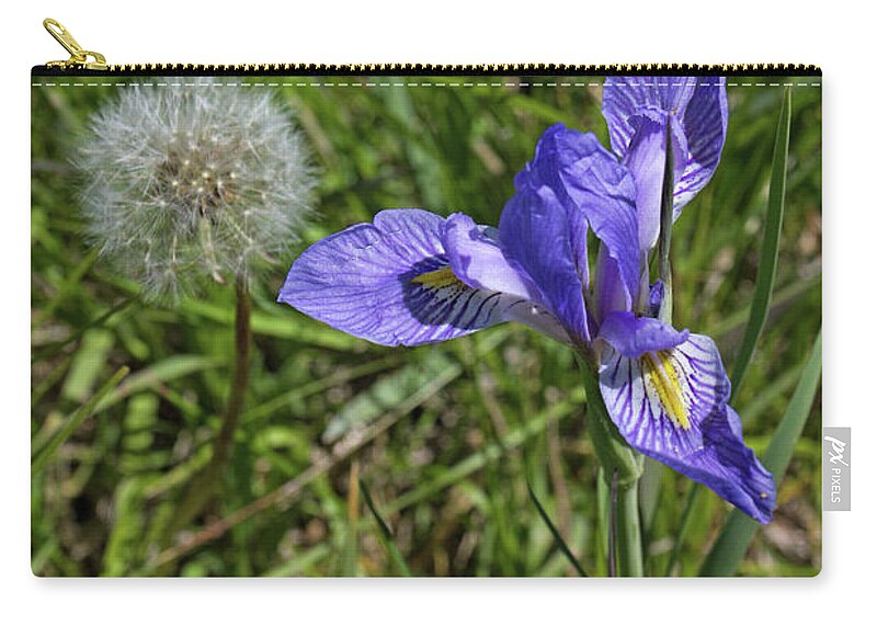 Botanical Zip Pouch featuring the photograph Blue Flag and Dandy by Alana Thrower