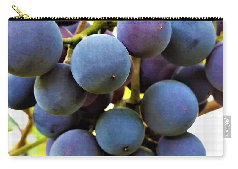 Grapes Zip Pouch featuring the photograph Blue Grapes by Cristina Stefan