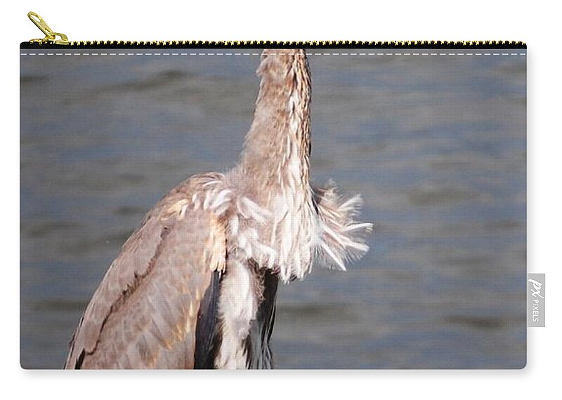 Blue Heron Zip Pouch featuring the photograph Blue Heron Calling by Sumoflam Photography