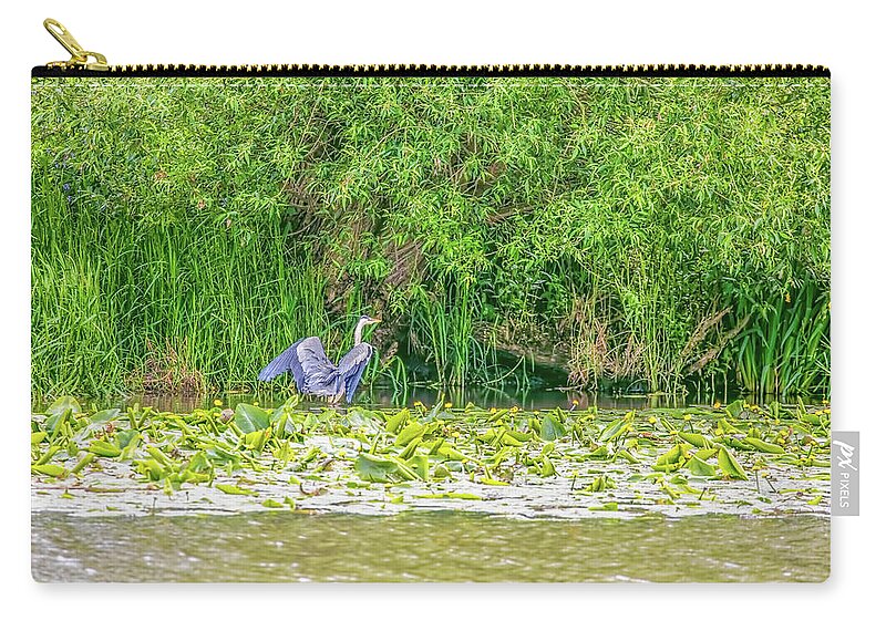 Nature Zip Pouch featuring the photograph Blue heron landing May 2016. by Leif Sohlman