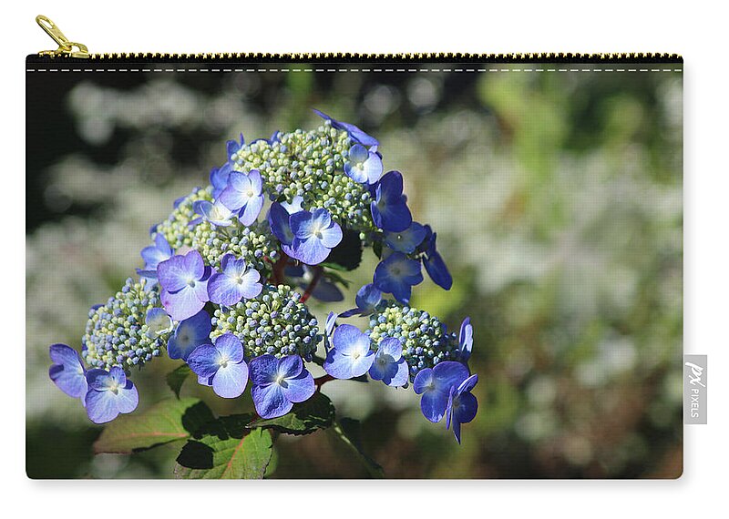 Hydrangea Zip Pouch featuring the photograph Blue Hydrangea by Living Color Photography Lorraine Lynch