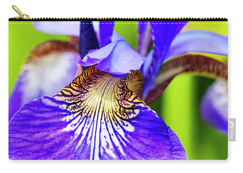 Iris Flower Zip Pouch featuring the photograph Blue Iris Lily by Heiko Koehrer-Wagner