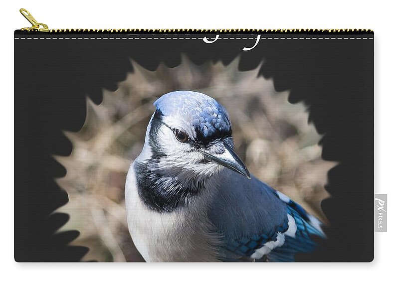 Blue Jay Carry-all Pouch featuring the photograph Blue Jay  by Holden The Moment