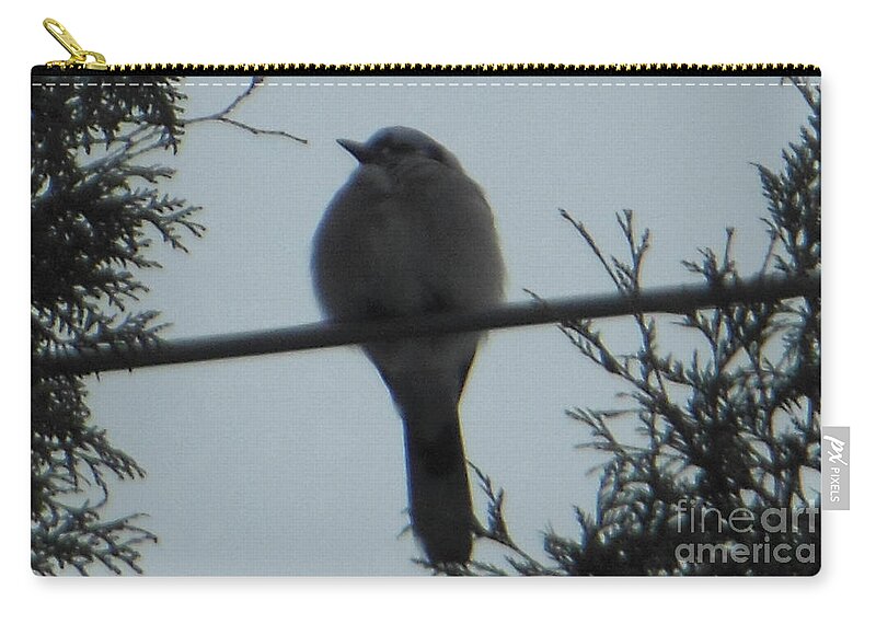 Blue Jay Zip Pouch featuring the photograph Blue Jay on Wire by Rockin Docks Deluxephotos