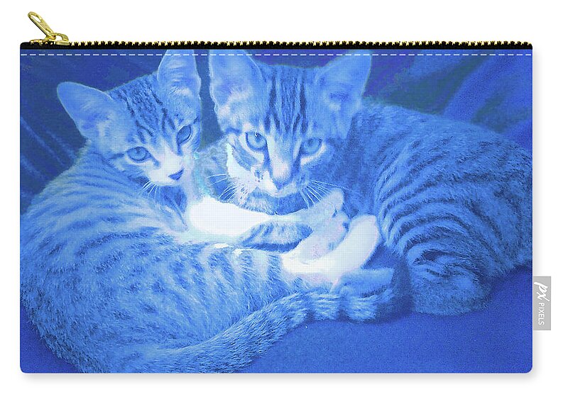  Carry-all Pouch featuring the photograph Blue Kittens by Steve Fields