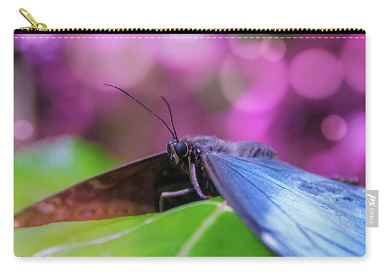 Butterfly Zip Pouch featuring the photograph Blue Morpho Butterfly 2 by Pamela Williams