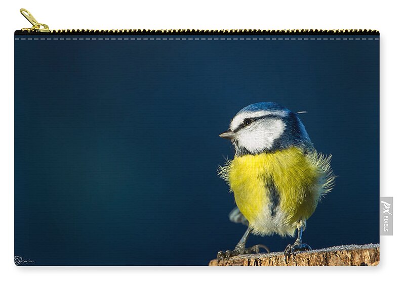 Blue On Blue Zip Pouch featuring the photograph Blue on Blue by Torbjorn Swenelius