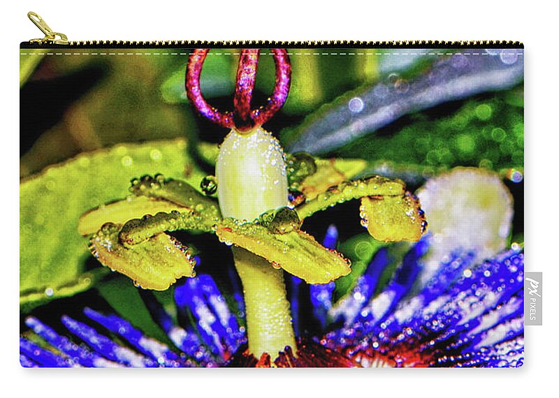 Passion Flower Zip Pouch featuring the photograph Blue Passion Flower With Raindrops 005 by George Bostian